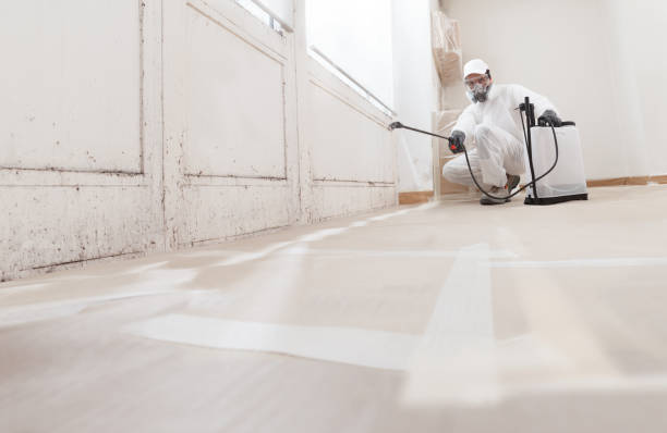24/7 Emergency Mold Remediation experts in Paris, TX